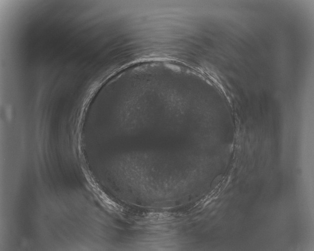X0000073400145200608040936