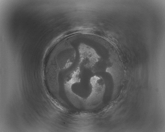 X0000073400149200608040936