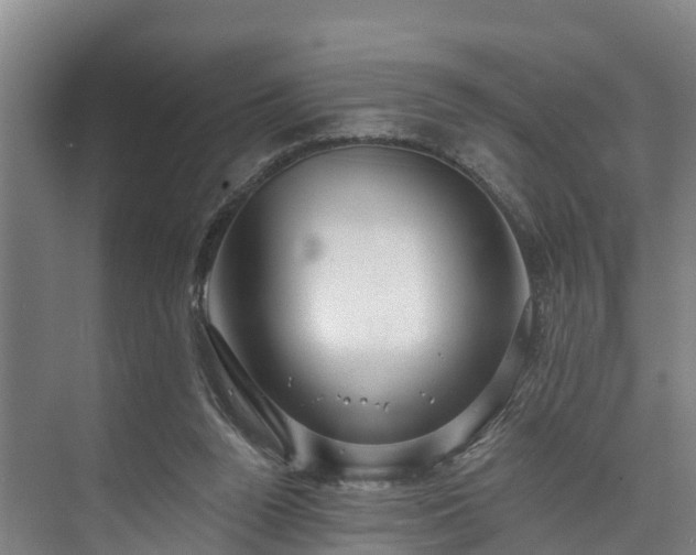 X0000073400160200608040936