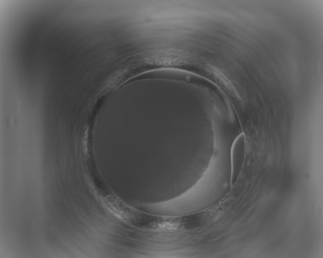 X0000073400163200608040936