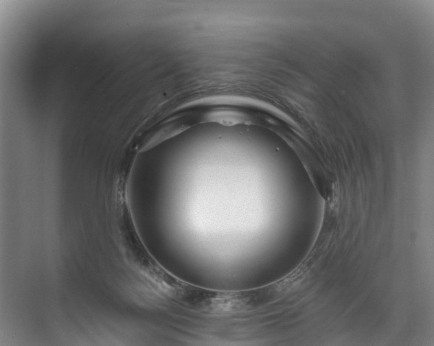 X0000073400172200608040936