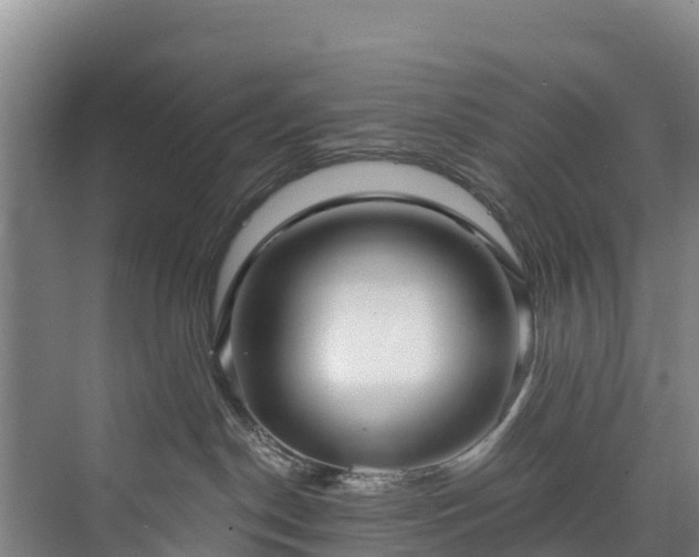X0000073400190200608040936