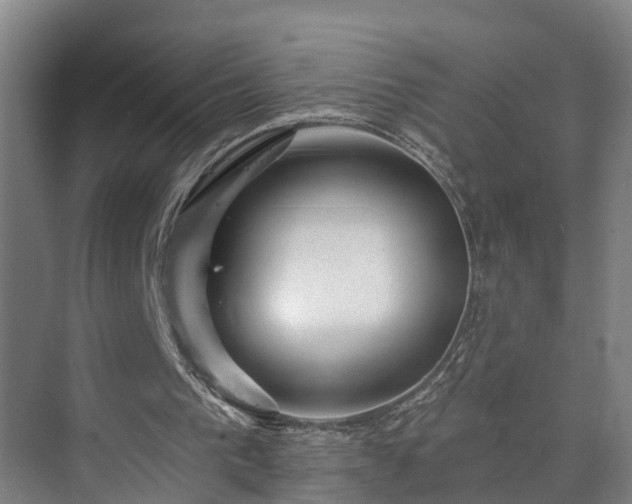 X0000073400193200608040936