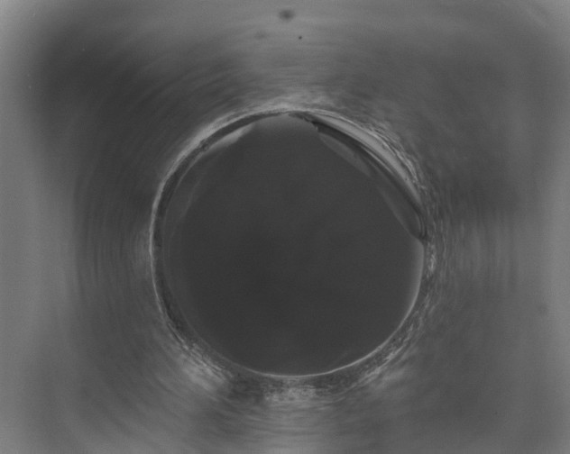X0000073400196200608040936