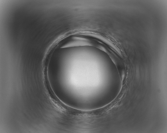 X0000073400197200608040936