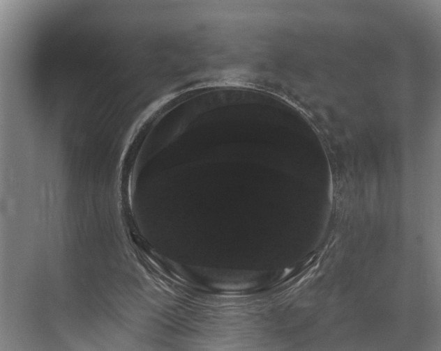 X0000073400200200608040936