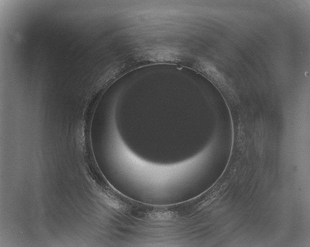 X0000073400202200608040935