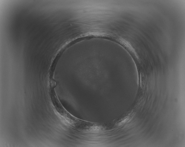 X0000073400204200608040935
