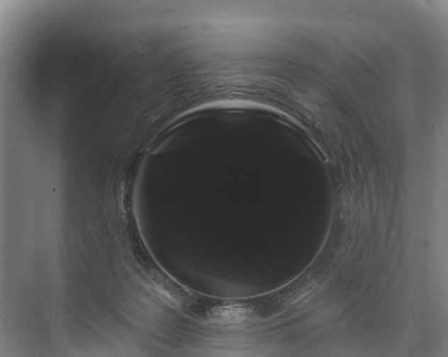 X0000073400219200608040935