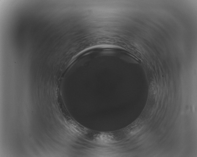 X0000073400223200608040935