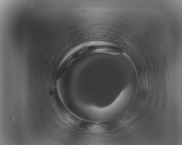 X0000073400224200608040935