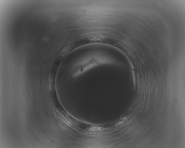 X0000073400227200608040935