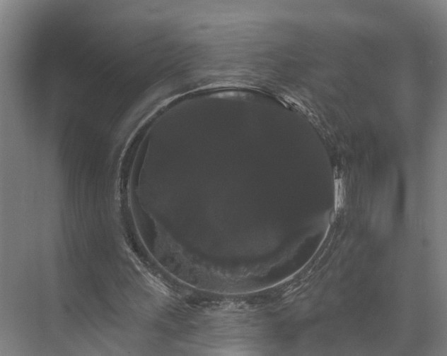 X0000073400243200608040934