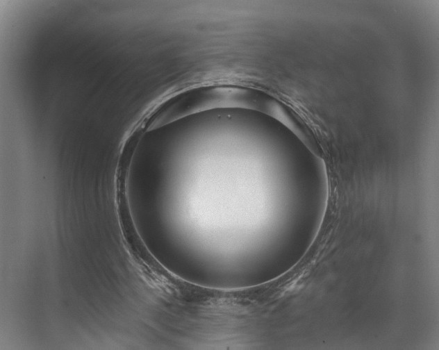 X0000073400244200608040934