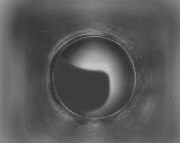 X0000073400247200608040934