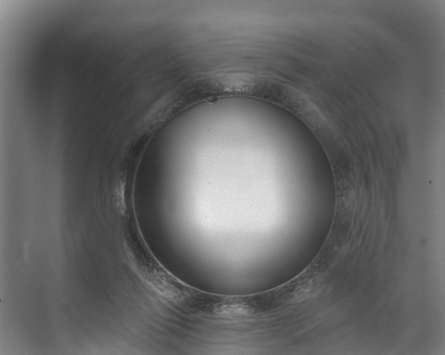 X0000073400262200608040934