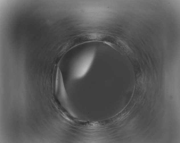 X0000073400325200608040933