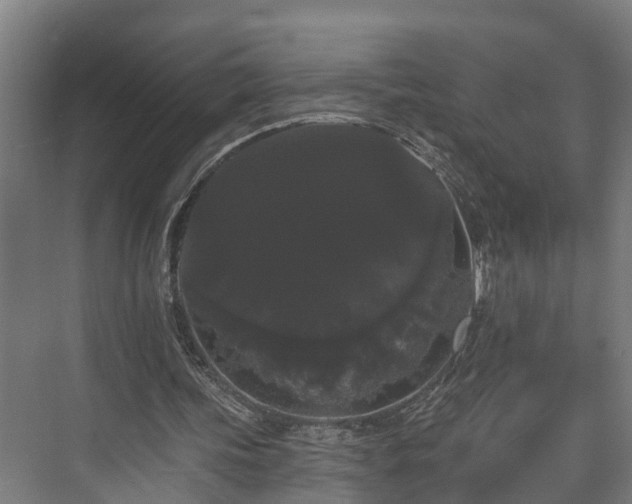 X0000073400339200608040932