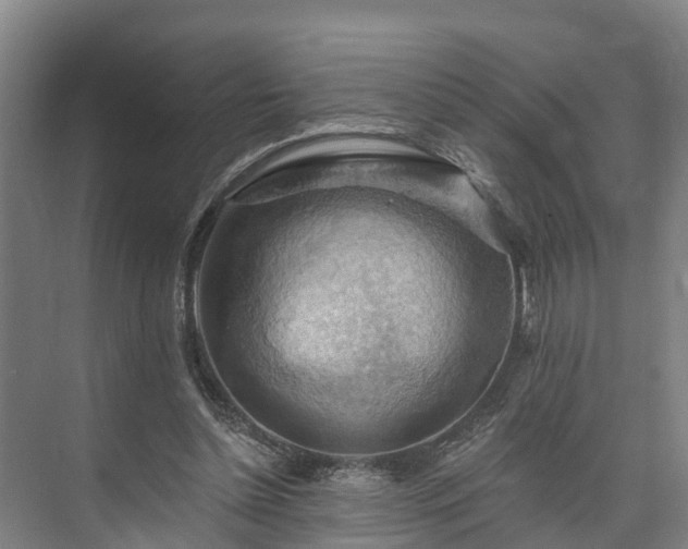 X0000073400348200608040933