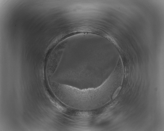 X0000073400349200608040933