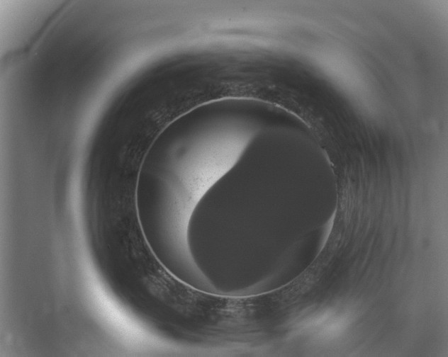 X0000073400383200608040933