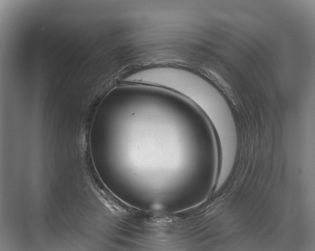X0000073400405200608040932