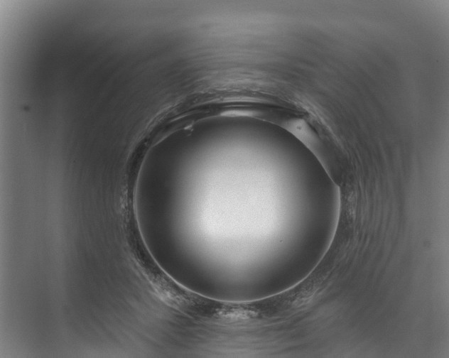 X0000073400407200608040932
