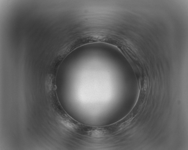 X0000073400412200608040932