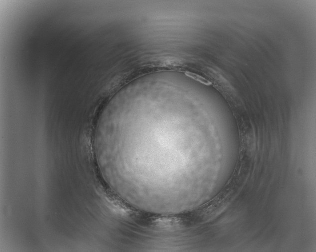 X0000073400415200608040932