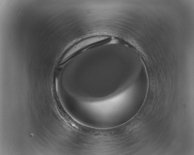 X0000073400434200608040931