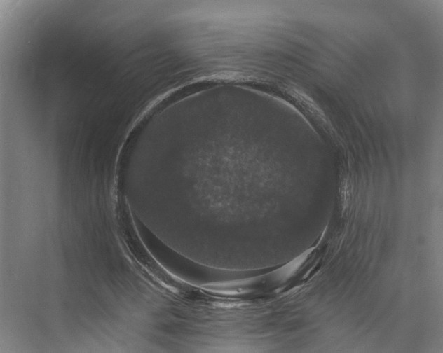 X0000073400484200608040931