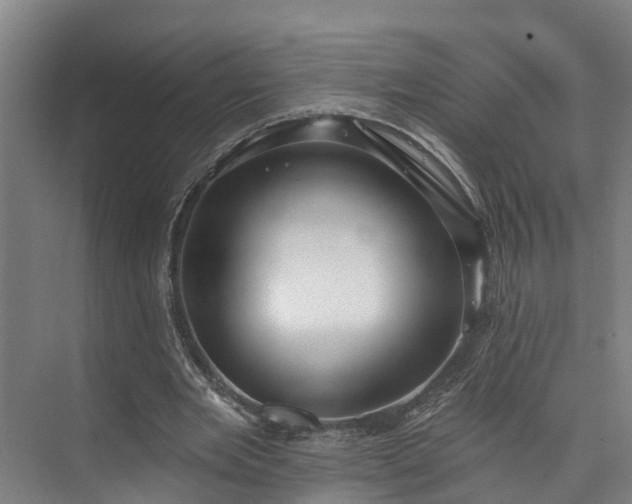X0000073400485200608040931