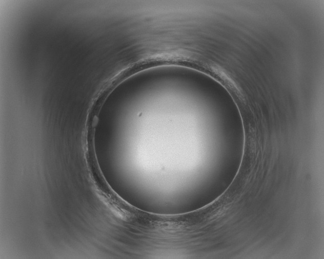 X0000073400486200608040931