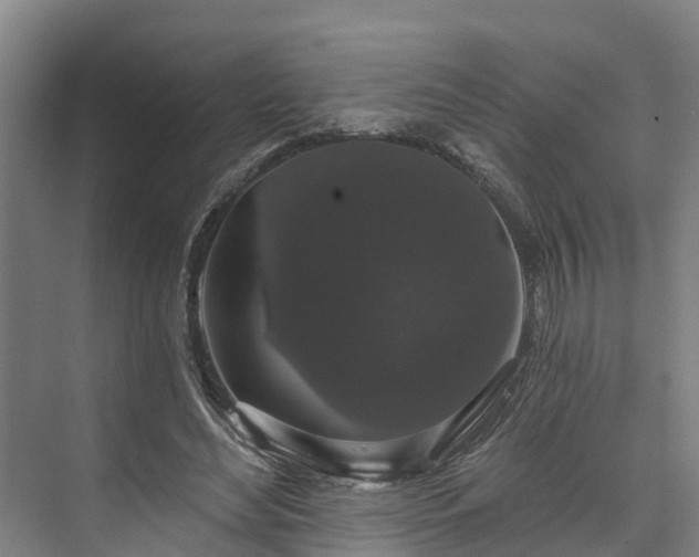 X0000073400492200608040931