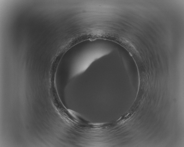 X0000073400496200608040931