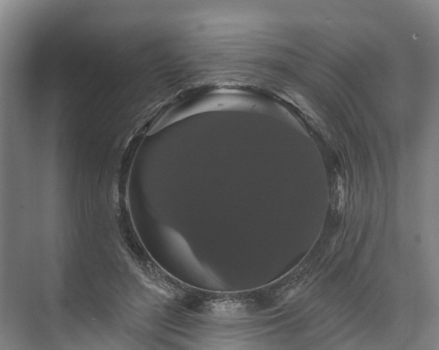 X0000073400500200608040930