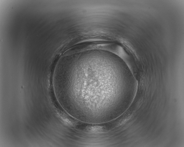 X0000073400501200608040930