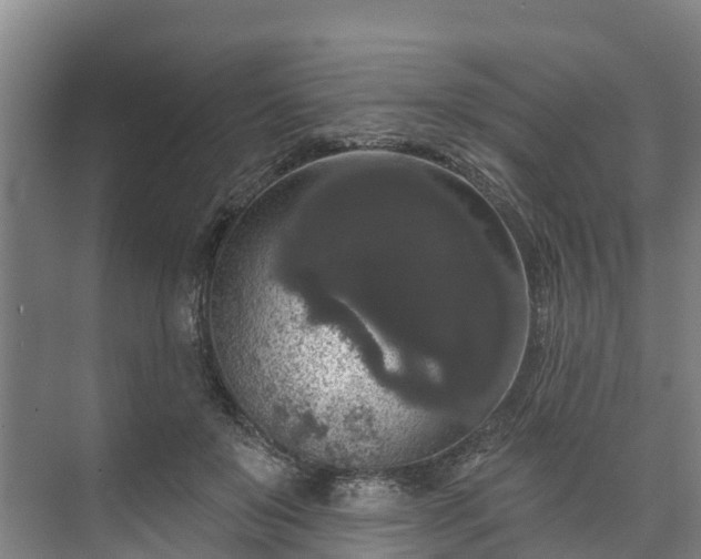 X0000073400503200608040930