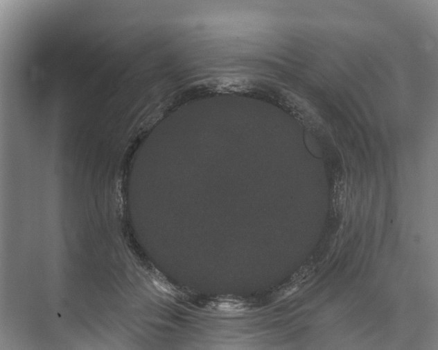 X0000073400506200608040930