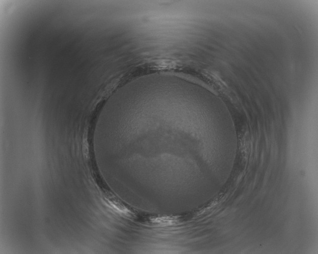 X0000073400516200608040930