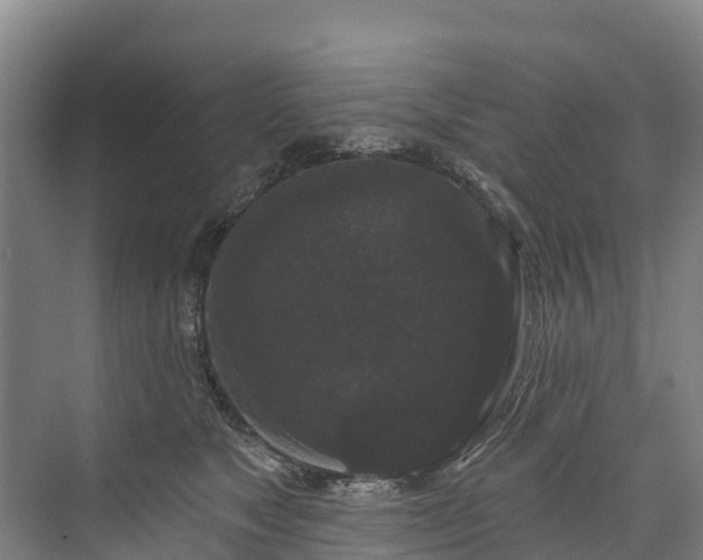 X0000073400517200608040930