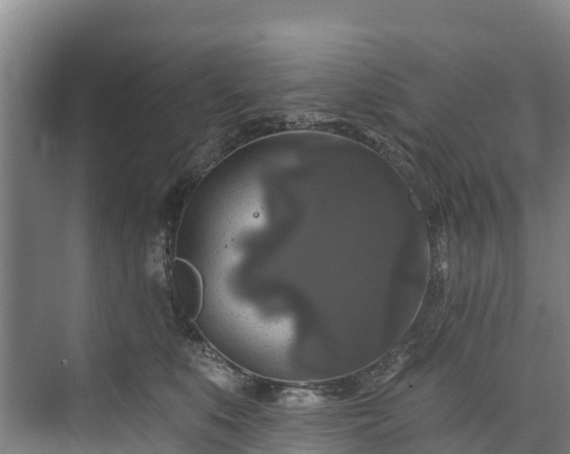 X0000073400519200608040930