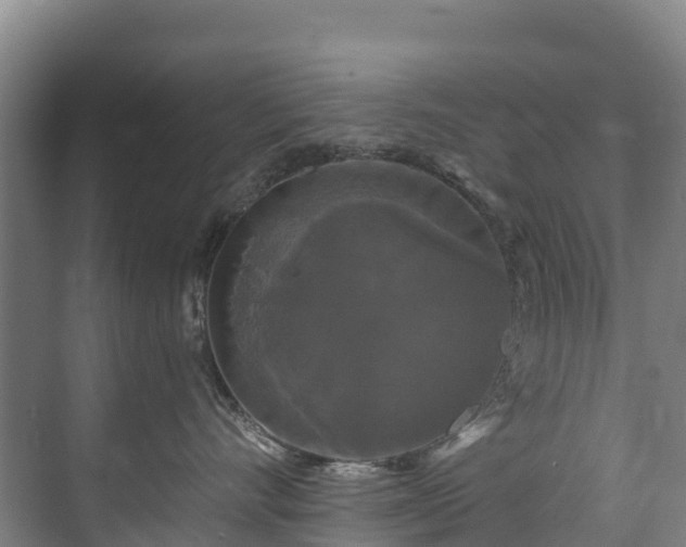 X0000073400528200608040930