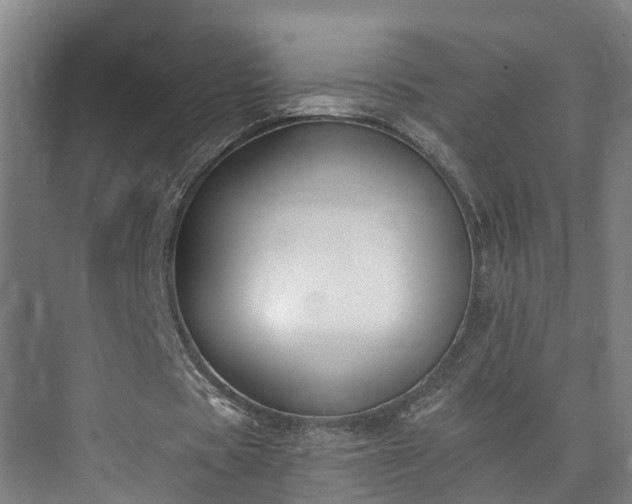X0000073400529200608040929