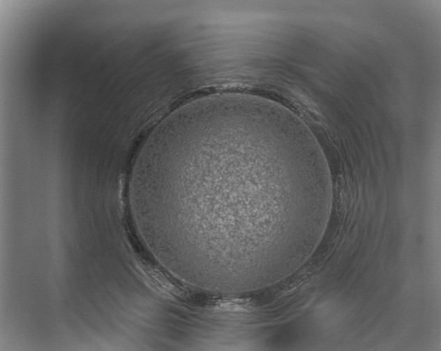 X0000073400550200608040930