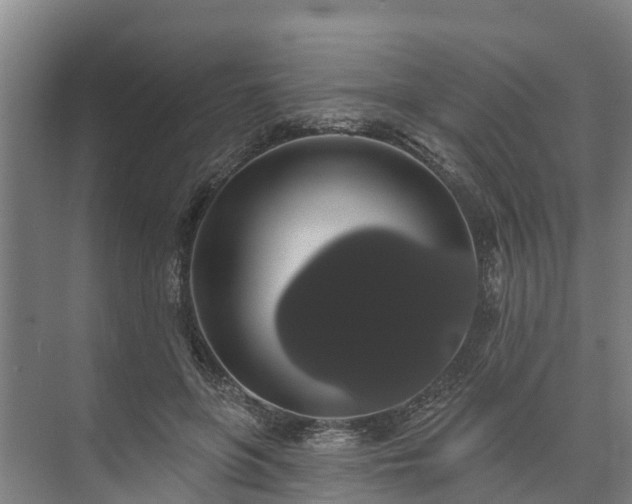 X0000073400551200608040930