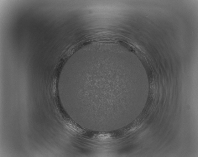 X0000073400554200608040930