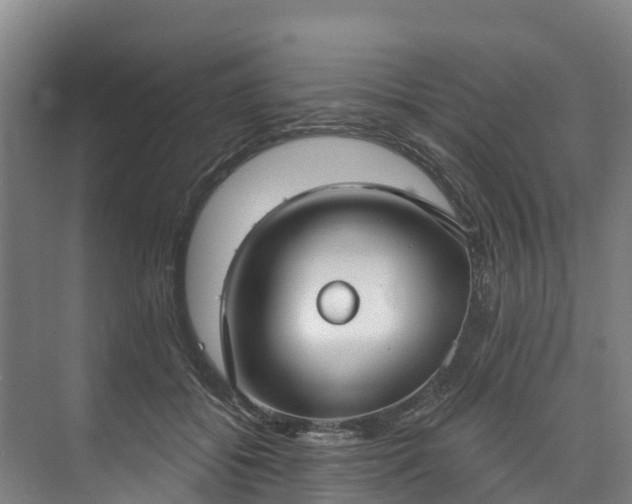 X0000073400556200608040930