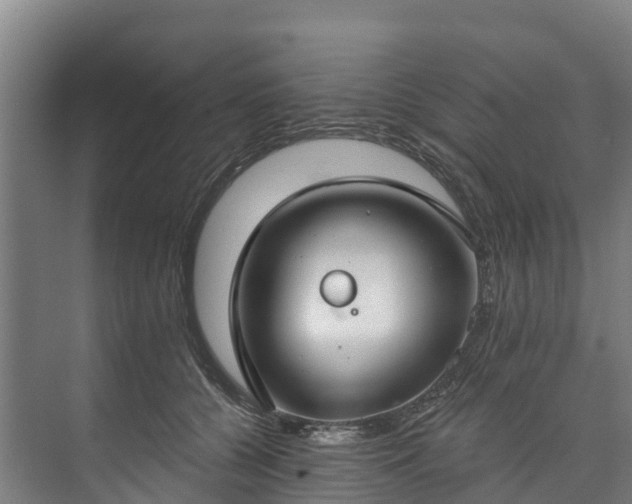 X0000073400560200608040930