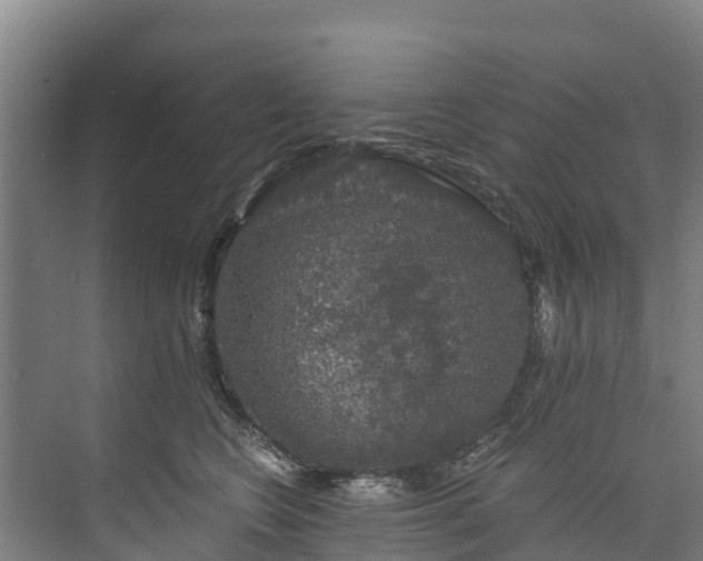 X0000073400566200608040930